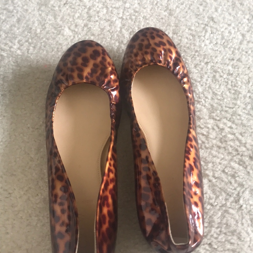 Shoe